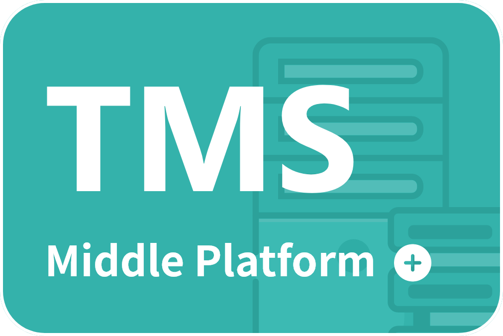 tms system